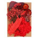 Pressed Flowers Bulk Dried Flowers Natural Pressed Flowers Leaves Red Style Dried Flower