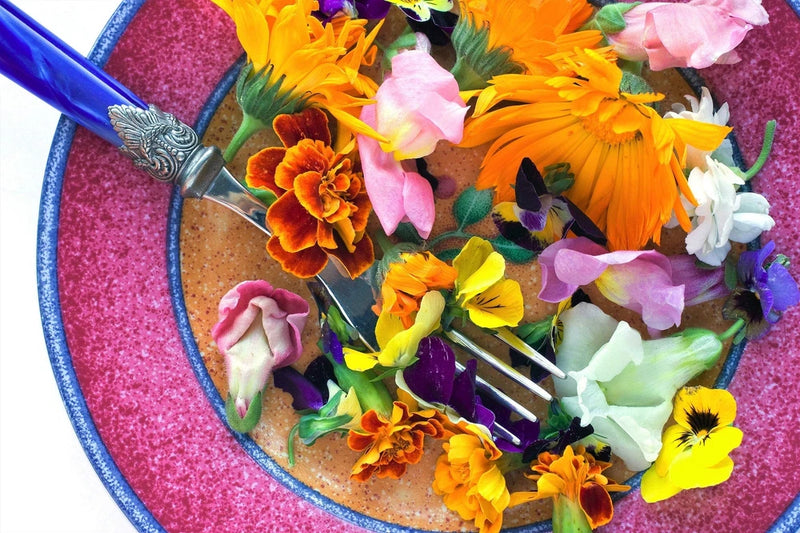 EDIBLE FLOWER MIX Seeds 16 Types Marigold Daisy Viola Safflower Alyssum Hyssop + Daisies
