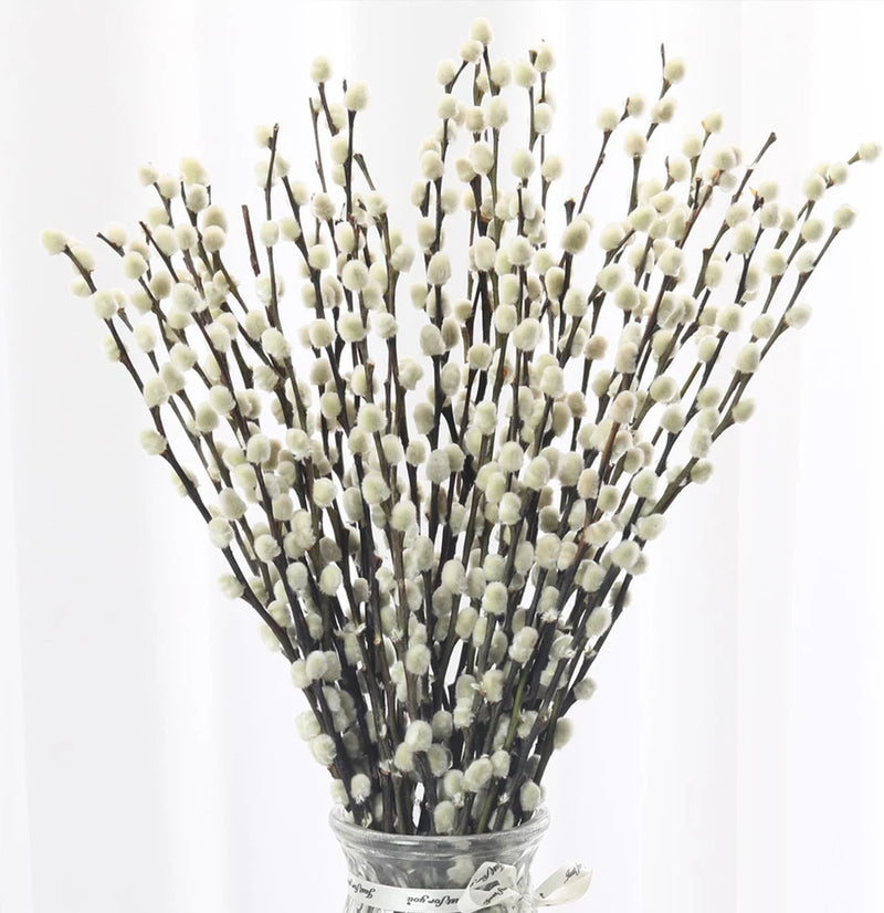 40 Stems Preserved Pussywillow Branches, 16"-17", Dried with White Flowers, Rust Dried Flower