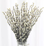 40 Stems Preserved Pussywillow Branches, 16"-17", Dried with White Flowers, Rust Dried Flower