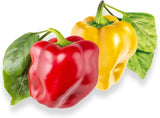 Mini Bell Pepper Seed Pods w Plant Food for Click and Grow & Outdoor Gardens Garden Plants