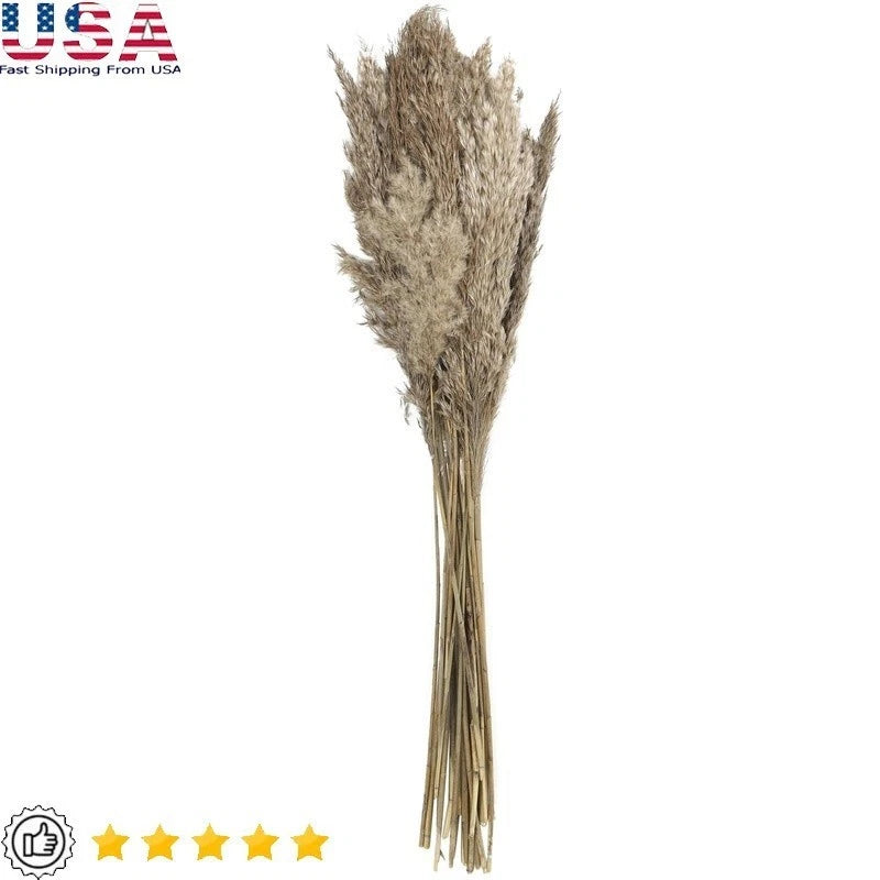 Natural Dried Pampas Grass Bouquet Tall Foliage Centerpiece Home Decor New Pampas Grass