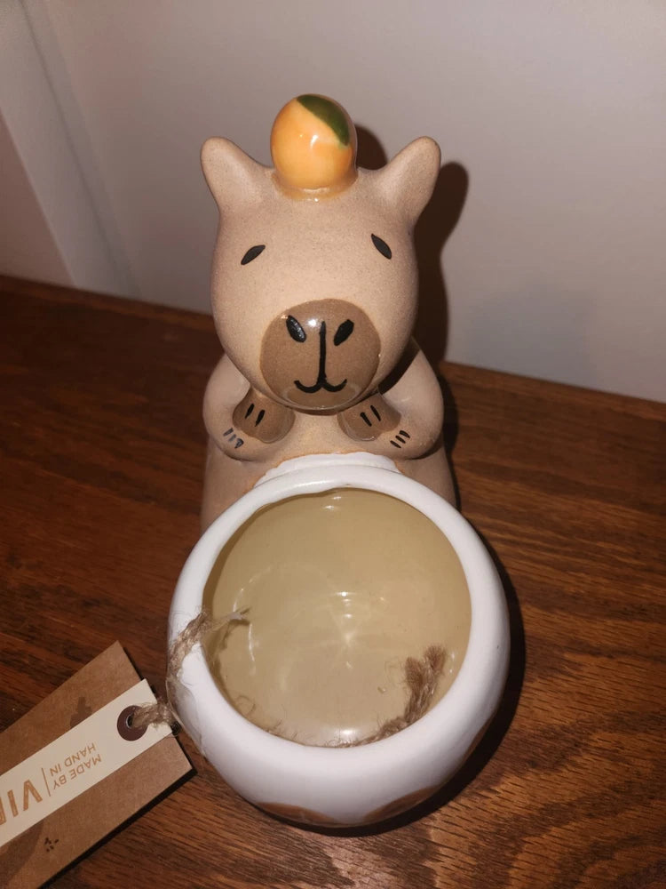 Ceramic capybara-shaped plant pot planter with open bowl and painted face