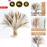 Pampas Grass Eucalyptus Bouquet Dried Flowers for Centerpiece Home Decor Pampas Grass