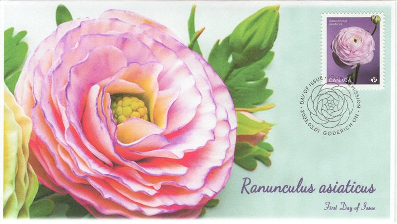 CA23-012, 2023, Ranunculus asiaticus, First Day of Issue, Pictorial Postmark, Go Ranunculus