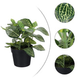Garden Bonsai Decoration Artificial Table Plants Small Fake Simulation Green Plant
