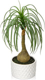 Hollyone Fake Plants Artificial Potted Plants Artificial Ponytail Palm Plant in Green Plant