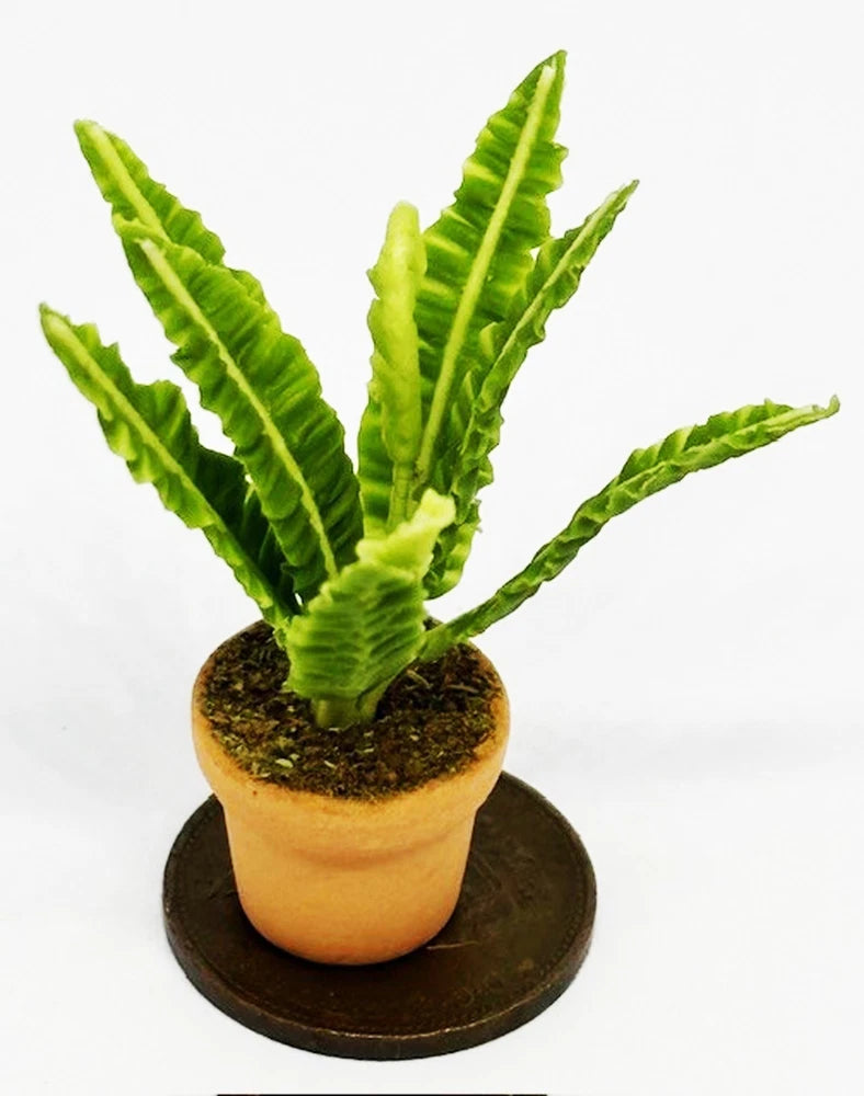 Dolls House Green Plant In A Pot Flower 1:12 Scale Miniature Garden P2 tumdee Flowering Plants