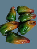 Decorative chili peppers that are weighted (A) 26708935 SIX PIECES Green Plant