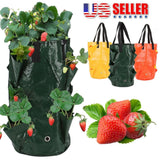 Planting Grow Bags Garden Tomato Strawberry Container Hanging Planter Bag Pouch Garden Plants