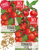 Dwarf Cherry Tomato Seeds Tiny Tim Non GMO Heirloom Vegetable Garden Packet Garden Plants
