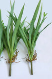 2 Pcs Artificial Grass Green Flower Orchid Plastic Home Garden Decora (#94) Green Plant