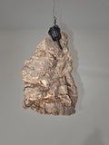 Orchid Cork  Bark Mount Bundle!!!!    (6 separate mounts) Orchids