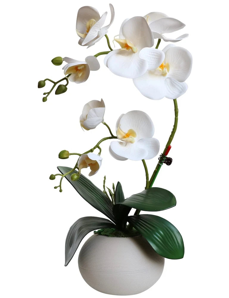Artificial white orchid arrangement in textured white ceramic pot with dark green leaves