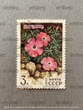 Postage stamp USSR 1977 Creeping carnation RARE VINTAGE Carnation
