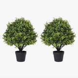 Primrue Guttenberg Faux Boxwood Topiary Set of 2 in Pot 24" Artificial Plant Green Plant