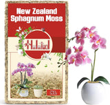 Premium New Zealand Sphagnum Moss, 100G(8L When Hydrated), for Orchid Repotting Orchids