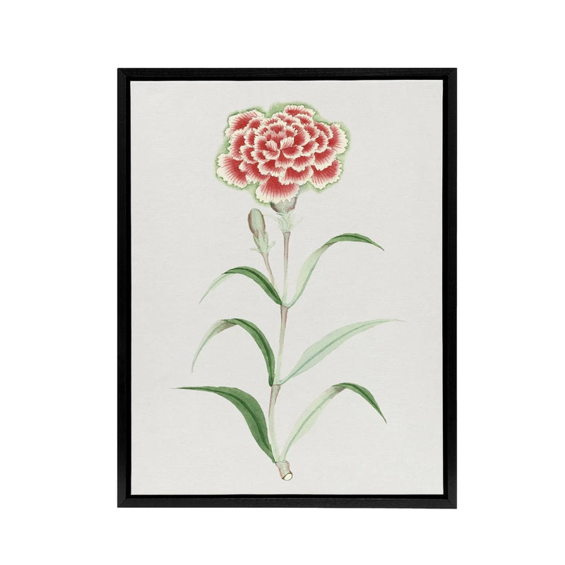 Framed canvas wall art featuring a vintage carnation flower botanical illustration