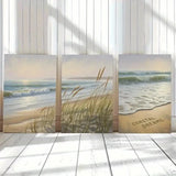 3pcs Beach Waves & Pampas Grass  Wall Art Canvas Framed 50x70cm Pampas Grass