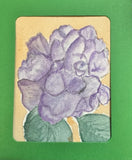 ÒThose HydrangeasÓ ACEO Watercolor By DBossert Features Classic Flower Hydrangea