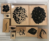 Stampin' Up! Definitely Decorative Hydrangea Stamp Flower Set 10 1995 LRS17 Hydrangea