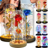 Rose Flower Gifts for Women Light Up Rose in Acrylic Dome Gifts for Mom Her Wife Roses