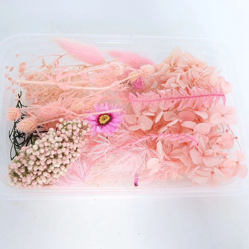 Christmas DIY Aromatherapy Fan Preserved Flower Rabbit Tail Hydrangea Material Hydrangea