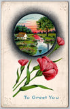 Vintage Embossed Carnation Flower Postcard 