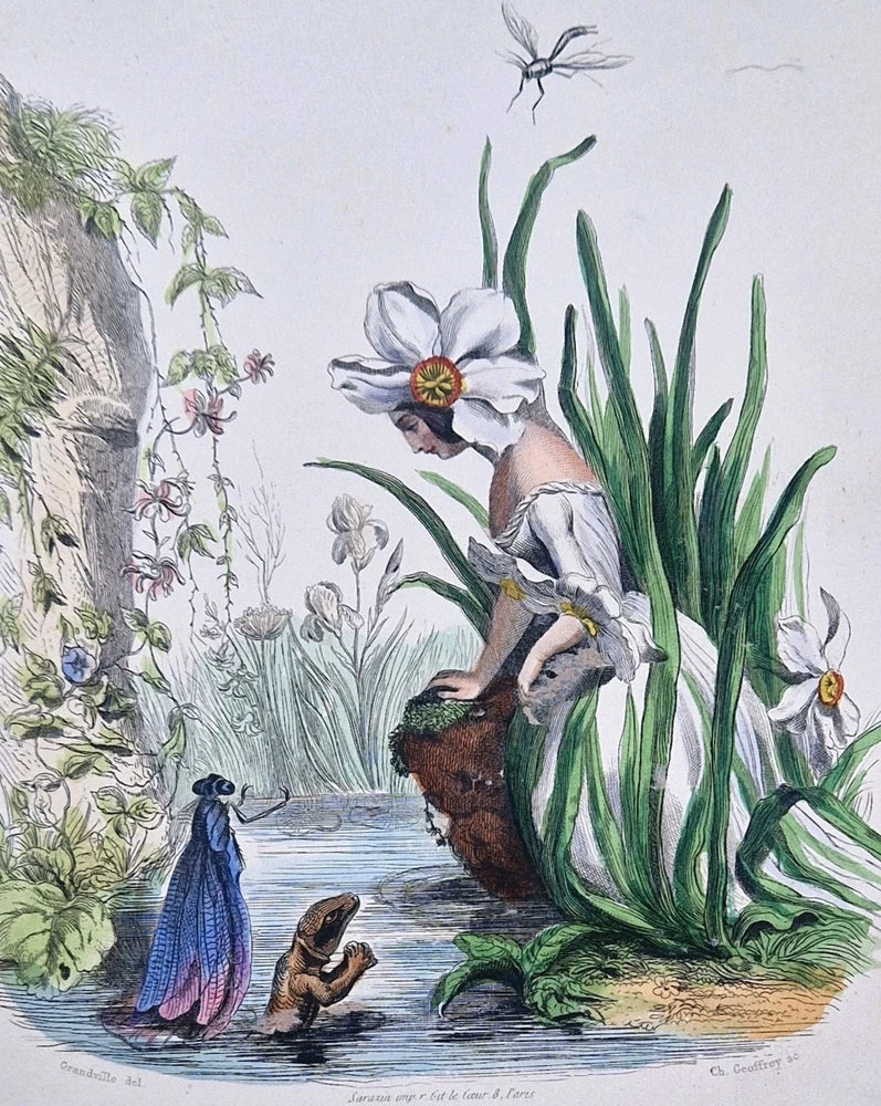 Botanical engraving art print with daffodil and lily flowers, peacock in garden scene