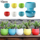 Practical Yard Garden Flower Pots  for MINI Mixed Colors Mixed colors Colorful Garden Plants