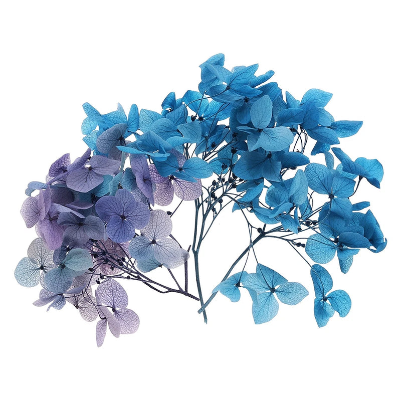 10g Mini Dried Hydrangea Flower Natural Pressed Flower Gradient Blue Dried Flower