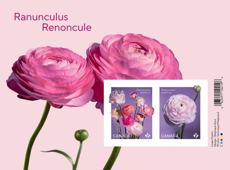CAN489 - CANADA 2023 FLOWER STAMPS RANUNCULUS SOUVENIR SHEET MNH Ranunculus