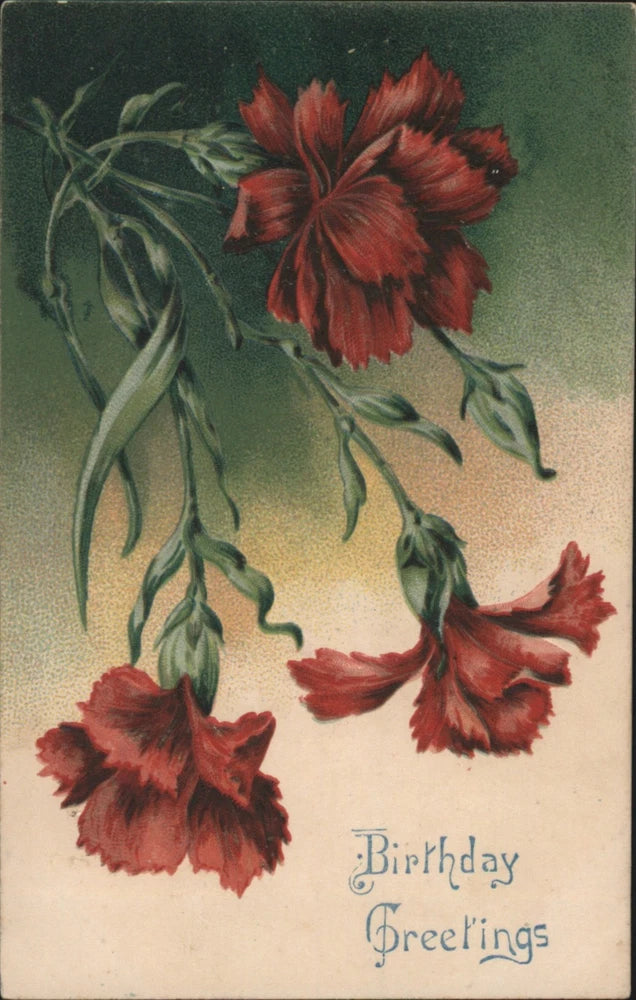 Antique postcard with red carnations and 'Birthday Greetings' text