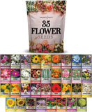 , Flower Seeds Packets for Planting 35 Individual Varieties Perennial, Annual, W Flowering Plants