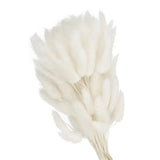 15.7in Bunny Tails Dried Flowers 150pcs Pampas Grass Decor, White Dried Flower
