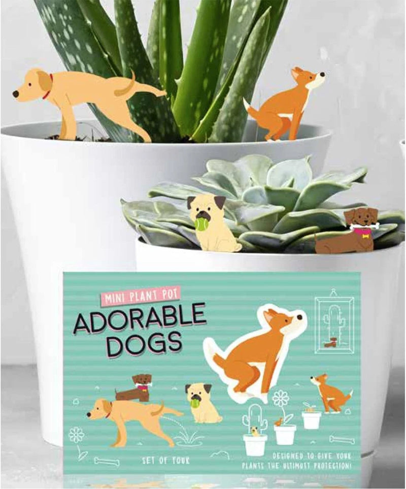 Set of mini plant pot dog decorations, shown in box with cute dog illustrations