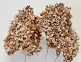 Forever Flowers - Dried Hydrangeas - Mettallic Collection - Varity of sizes Hydrangea