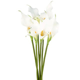 6-Pack Two-petaled Artificial Calla Lily Flowers 23 Inch for Home [White] Lily