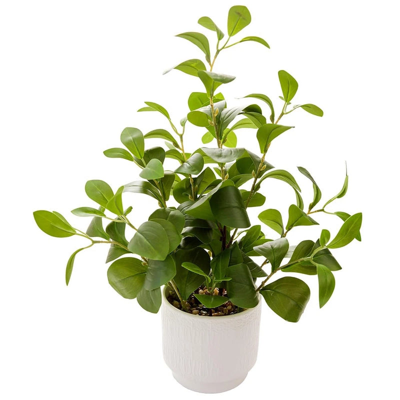 Artificial ficus plant with green leaves in a white textured ceramic pot