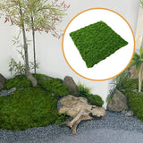 Faux  Artificial Green Plants Filler Decor,Fake Green Lichen Plants,Decorative Green Plant