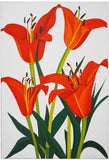 Flower Poster 11X17 Vibrant wall art Nature Inspired print home Decor Lilies red Lily