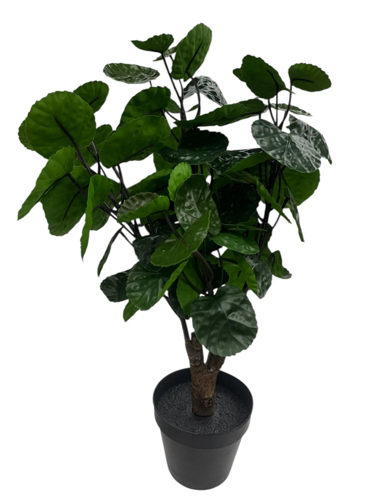New IKEA FEJKA Artificial Potted Plant Aralia 12 cm (4 _ ") 606.008.53 Green Plant