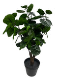 New IKEA FEJKA Artificial Potted Plant Aralia 12 cm (4 _ ") 606.008.53 Green Plant
