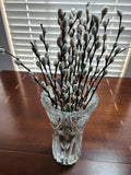 Real Dried Pussywillow Branches 20 Stems White Flowers Natural Greenery Home Dec Dried Flower