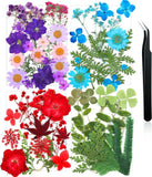 Nuanchu Pressed Flowers Bulk Dried Flower for Crafts, Lively Color Dried Flower