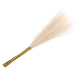 20Pcs Faux Pampas Grass,21"/55cm Fake Pampas Grass Decor,Light Beige Pampas Grass