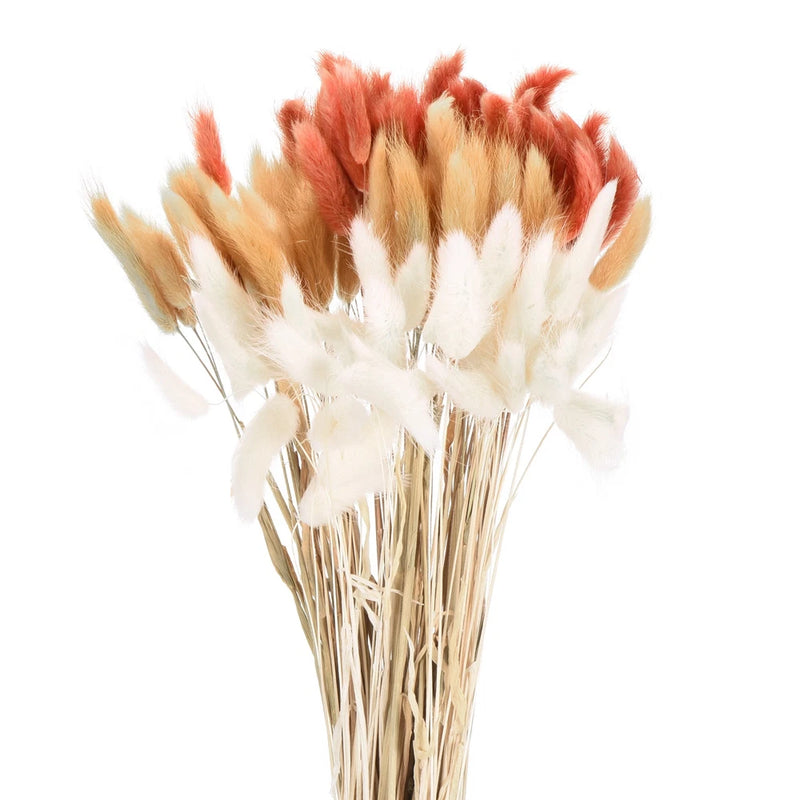 Natural bunny tails dried flowers bouquet with cream and rust feathery stems
