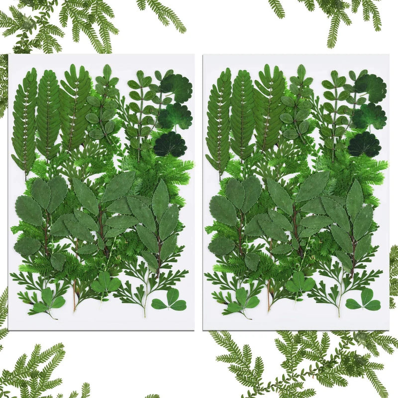 42PCS Dried Pressed Leaves Dried Flowers for Resin Real Assorted Dried Greenery Dried Flower