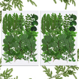 42PCS Dried Pressed Leaves Dried Flowers for Resin Real Assorted Dried Greenery Dried Flower