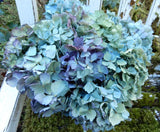10 Dried Hydrangea Flowers Lt Blue, Green, Cream, Purple Wedding Craft Farmhouse Dried Flower